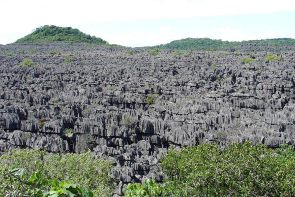 Séjour à Madagascar : visitez Ankarana