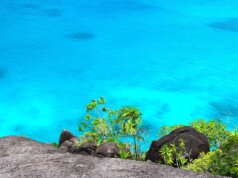 Voyage aux Seychelles : top 3 des activités nature à faire