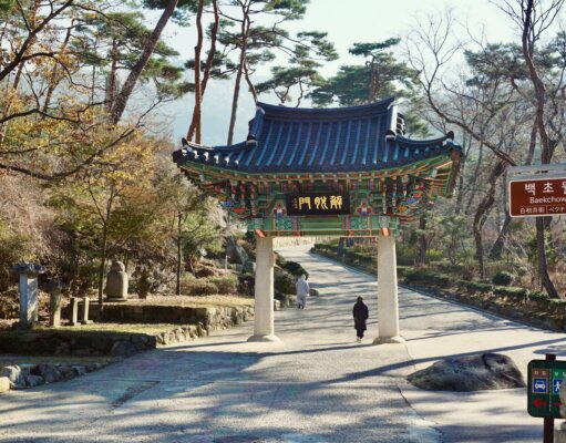 A person walking down a path in a park